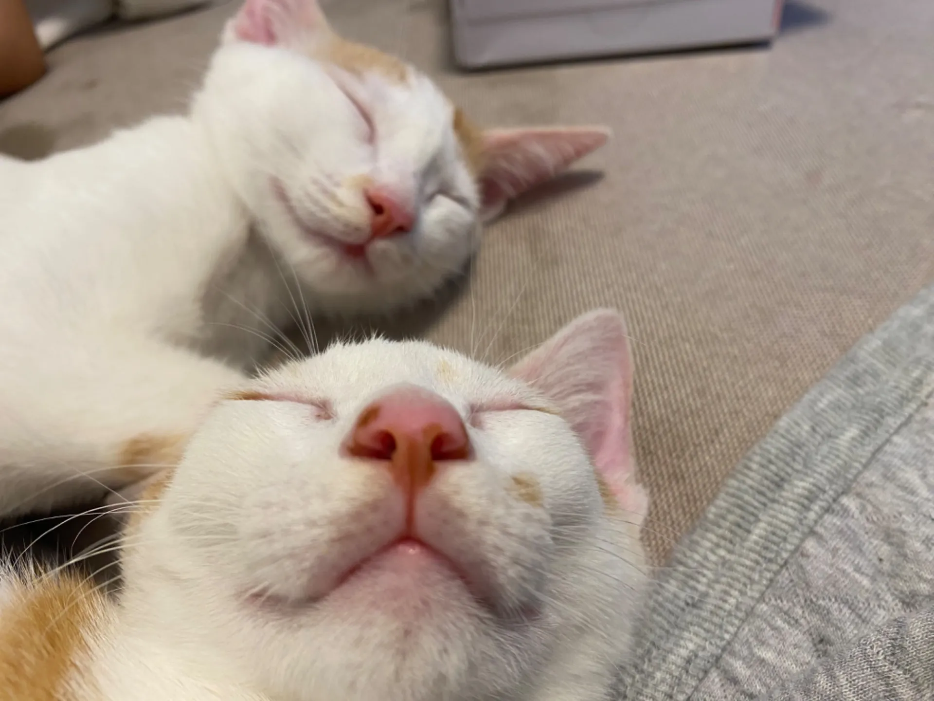 休診日のお知らせ